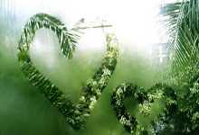 包含关键时刻莱比锡止住颓势——荷甲节点到来，媒体盛赞，赛程密集仍需轮换的词条