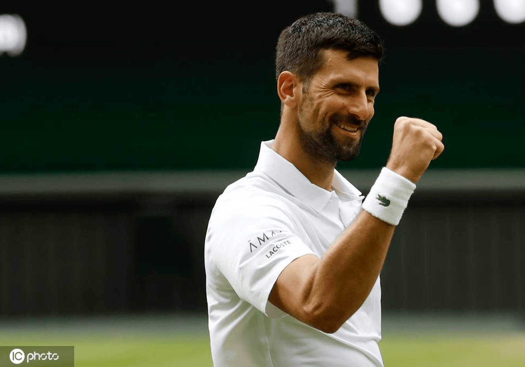 德约科维奇关键节点挺进下一轮，雄鹿带队取胜！的简单介绍